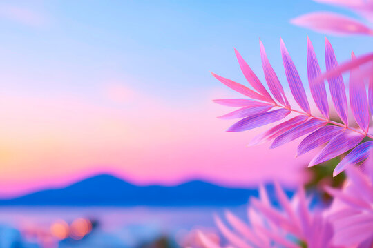Aesthetic Serene Boho Sunset Landscape with Soft Lighting