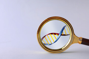 DNA spiral in magnifying glass on light grey background. Genetic analysis and research