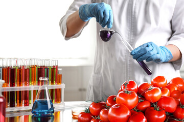 Food analysis. Laboratory worker examining quality of fresh tomatoes