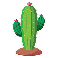 cactus in a pot