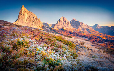 Frozen grass at the foot of Ra Gusela mountain. Majestic sunrise in Dolomite Alps. Wonderful morning scene of Giau pass, Italy, Europe. Beauty of nature concept background.