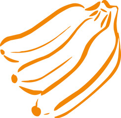 Hand drawn fruit . Ink logo,  icon. Vector illustration. Banana 