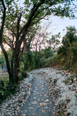A Serene Pathway Through a Lush Green Landscape Surrounded by Trees and Rocky Terrain Perfect for Nature Walks and Exploration
