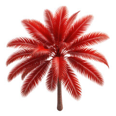 Vivid red palm tree against black background