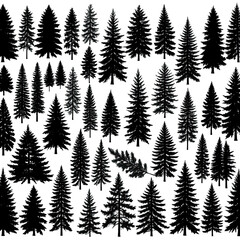 Fototapeta premium Dark forest illustration with many evergreen trees