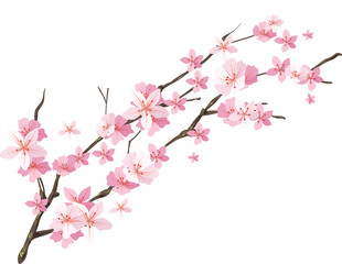 Abstract geometric composition with vibrant color blocks and clean lines suitable for modern design projects