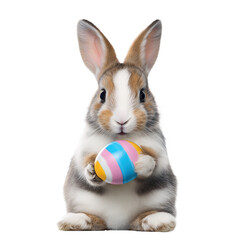 Adorable Rabbit Holding Decorated Easter Egg with Spring Flowers, Isolated on Transparent Background