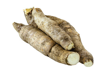 Brazilian cassava, a species of tuberous plant in the Euphorbiaceae family. White isolated background