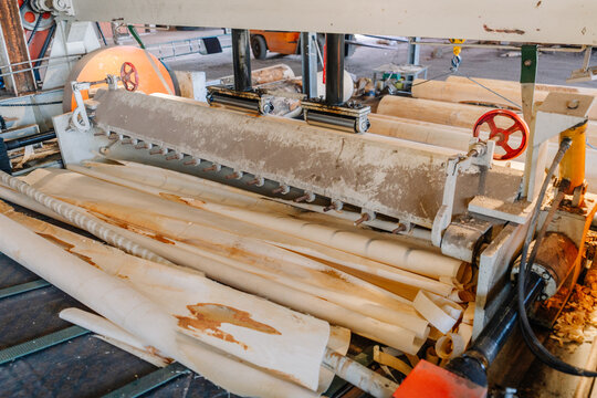 Close-up of a veneer peeling machine in operation, producing thin wood sheets from logs in a woodworking factory. Machinery and wood curls visible.