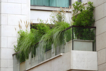 Green balconies of modern residential buildings, lush vertical landscaping and facade decoration with plants