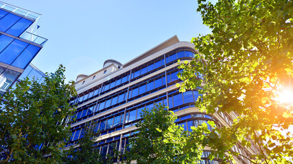 Glass office building surrounded with green trees.  Eco-friendly office building. Sustainable architecture of city reducing heat carbon dioxide modern city environment.