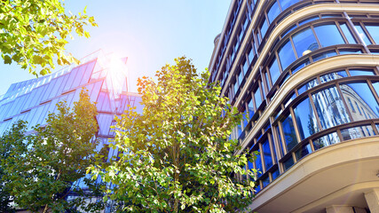 Glass office building surrounded with green trees.  Eco-friendly office building. Sustainable architecture of city reducing heat carbon dioxide modern city environment.