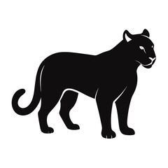 Cougar silhouette on white background.