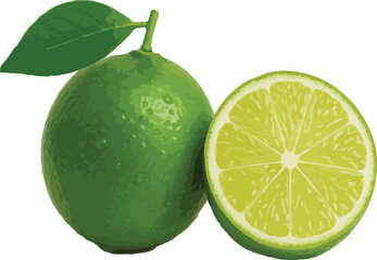 Whole and sliced green lime with leaf on white background