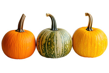 Obraz premium Orange yellow striped gourds isolated on a transparent background