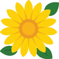 Yellow sunflower with green leaves flat illustration