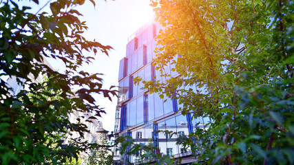 Glass office building surrounded with green trees.  Eco-friendly office building. Sustainable architecture of city reducing heat carbon dioxide modern city environment.