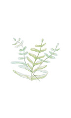 Lush green plants with vibrant leaves and natural texture. A fresh and calming nature scene perfect for design, background, or environmental themes.