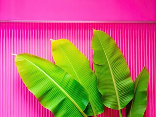 Green palm with reeded glass. White Reeded Glass. Beautiful tree decor on blurred template. Ribbed Background. Pure abstract design on empty background for clean modern look. Plant leaves.