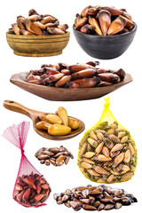 pinhão seeds, the seed of the araucaria, a tree found in the South and Southeast of Brazil, consumed cooked or roasted, mainly in autumn and winter, isolated white background