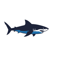 Obraz premium Dynamic Great White Shark Vector Illustration in Flat Design Style with Navy Blue and Aqua Accents