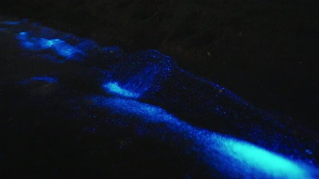 Bioluminescence (Noctiluca scintillans) in the waves