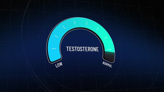 Animated testosterone level gauge moving from normal to low, hormone meter, male health concept, digital presentation of androgen deficiency, hormonal problems, copy space