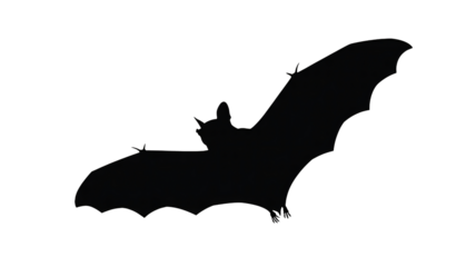 Spooky bat silhouette for Halloween designs, eerie nocturnal creature in flight, perfect for themed parties and decorations, mysterious dark vibes