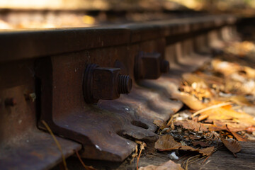 Rusty Railway Tracks Lined With Autumn Leaves on a Tranquil Afternoon in a Quiet Rural Area