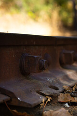 Rusty Railroad Track Bolt With Fallen Leaves in a Serene Forest Setting on a Sunny Autumn Day