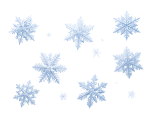 set of snowflakes on white