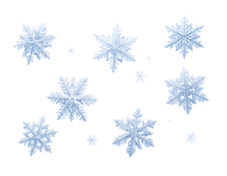 set of snowflakes on white