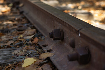 Old Railway Track Surrounded by Autumn Leaves in a Quiet Forest Setting