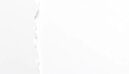 Jagged edges of white paper, showing fiber texture and tear lines,  ragged,  detail