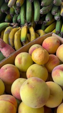 Peaches and Bananas at Market &ndash; Fresh Tropical Fruits from Real Organic Farming for Nutrition, Agriculture