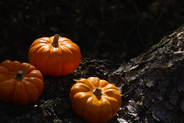 Bright Orange Pumpkins Resting on a Wooden Surface in Soft, Natural Light During Autumn