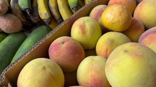 Latin Peaches and Bananas. Real Organic Farming of Natural Tropical Fruits in Sustainable Agriculture