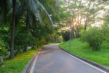 The afternoon sunlight shines on the path in the park
