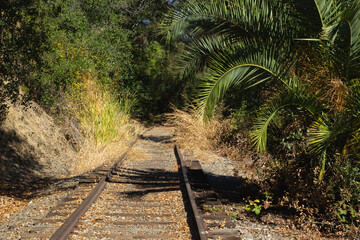 Quiet Railway Track Surrounded by Lush Greenery in a Rural Area on a Sunny Day