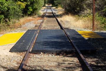 Train Tracks Cross Through a Quiet Area Surrounded by Trees and Brush on a Sunny Day