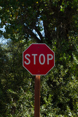 Bright Red Stop Sign Stands out Against a Backdrop of Green Foliage in a Rural Area on a Sunny Day