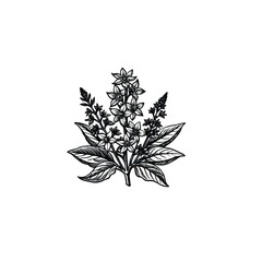 Classic hand-drawn black and white floral illustration featuring blooming petals and leaves. Perfect for elegant botanical artwork.