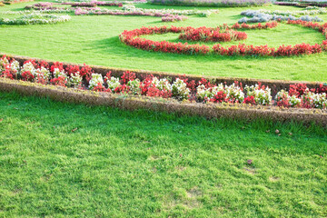 Manicured garden