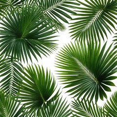 Obraz premium Tropical Palm Leaf Pattern on black background, lush, green foliage