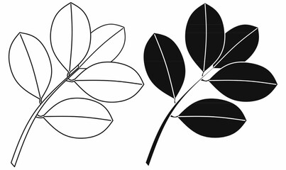 Vector illustration of coca leaves branch with elliptical leaf shapes, shown in black silhouette and outline style. Perfect for botanical, medicinal plant, or nature design.