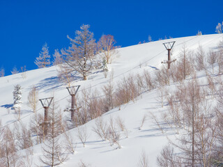 Lift poles of a summer-only chairlift stand on a mountainside covered with fresh untouched snow (Shiga Kogen, Nagano, Japan)
