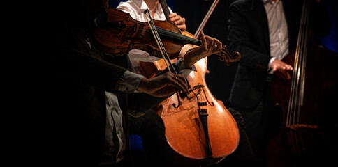 A close-up view of musicians performing on violins during a classical concert, showcasing the elegance and precision of live orchestral performance.
