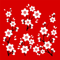 Set of cherry blossom branches and vine tree flowers on traditional red background