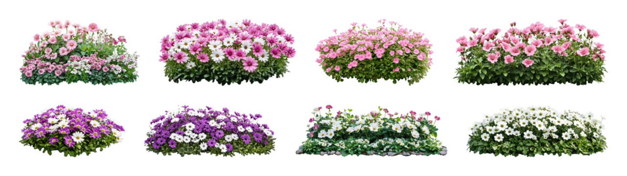 PNG Vibrant floral garden clusters, element set on transparent background