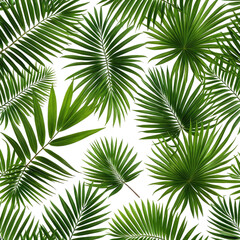 Obraz premium Green palm fronds against a dark background. Tropical, lush